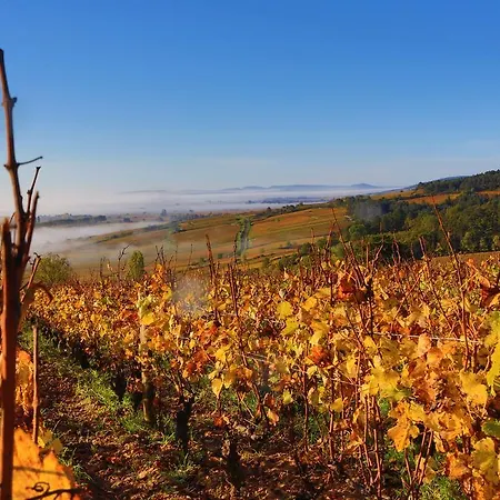 Holiday Le Cepe De Beaune * Beaune (Cote d'Or)
